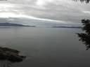 ./images/koeye/fitz-hugh/20200825/fitz-hugh20200825_104501.jpg