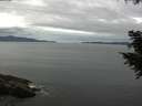 ./images/koeye/fitz-hugh/20200825/fitz-hugh20200825_105001.jpg