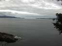 ./images/koeye/fitz-hugh/20200825/fitz-hugh20200825_105501.jpg