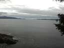./images/koeye/fitz-hugh/20200825/fitz-hugh20200825_110501.jpg