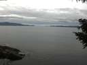 ./images/koeye/fitz-hugh/20200825/fitz-hugh20200825_111001.jpg