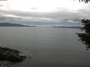 ./images/koeye/fitz-hugh/20200825/fitz-hugh20200825_111501.jpg