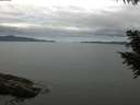 ./images/koeye/fitz-hugh/20200825/fitz-hugh20200825_112501.jpg
