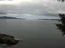 ./images/koeye/fitz-hugh/20200825/fitz-hugh20200825_114001.jpg