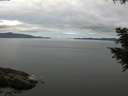 ./images/koeye/fitz-hugh/20200825/fitz-hugh20200825_114501.jpg