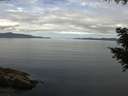 ./images/koeye/fitz-hugh/20200825/fitz-hugh20200825_115501.jpg