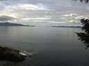 ./images/koeye/fitz-hugh/20200825/fitz-hugh20200825_122501.jpg