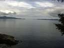 ./images/koeye/fitz-hugh/20200825/fitz-hugh20200825_124002.jpg