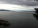 ./images/koeye/fitz-hugh/20200825/fitz-hugh20200825_132502.jpg
