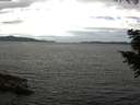 ./images/koeye/fitz-hugh/20200825/fitz-hugh20200825_143501.jpg