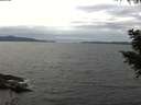 ./images/koeye/fitz-hugh/20200825/fitz-hugh20200825_151501.jpg