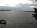 ./images/koeye/fitz-hugh/20200825/fitz-hugh20200825_152501.jpg