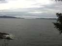 ./images/koeye/fitz-hugh/20200825/fitz-hugh20200825_153501.jpg