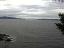 ./images/koeye/fitz-hugh/20200825/fitz-hugh20200825_154001.jpg