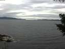 ./images/koeye/fitz-hugh/20200825/fitz-hugh20200825_154501.jpg