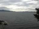 ./images/koeye/fitz-hugh/20200825/fitz-hugh20200825_155002.jpg