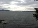 ./images/koeye/fitz-hugh/20200825/fitz-hugh20200825_155501.jpg