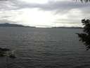 ./images/koeye/fitz-hugh/20200825/fitz-hugh20200825_160002.jpg