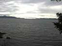 ./images/koeye/fitz-hugh/20200825/fitz-hugh20200825_161002.jpg