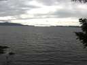 ./images/koeye/fitz-hugh/20200825/fitz-hugh20200825_161502.jpg