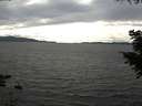 ./images/koeye/fitz-hugh/20200825/fitz-hugh20200825_163502.jpg
