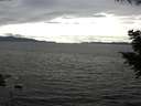 ./images/koeye/fitz-hugh/20200825/fitz-hugh20200825_164502.jpg