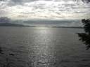 ./images/koeye/fitz-hugh/20200825/fitz-hugh20200825_171501.jpg