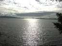 ./images/koeye/fitz-hugh/20200825/fitz-hugh20200825_172501.jpg