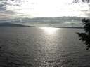 ./images/koeye/fitz-hugh/20200825/fitz-hugh20200825_173501.jpg