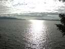 ./images/koeye/fitz-hugh/20200825/fitz-hugh20200825_174001.jpg