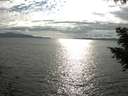 ./images/koeye/fitz-hugh/20200825/fitz-hugh20200825_174501.jpg