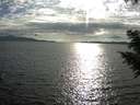 ./images/koeye/fitz-hugh/20200825/fitz-hugh20200825_175501.jpg