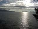 ./images/koeye/fitz-hugh/20200825/fitz-hugh20200825_180001.jpg