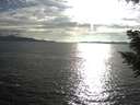 ./images/koeye/fitz-hugh/20200825/fitz-hugh20200825_180501.jpg