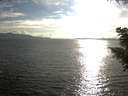 ./images/koeye/fitz-hugh/20200825/fitz-hugh20200825_182001.jpg