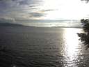 ./images/koeye/fitz-hugh/20200825/fitz-hugh20200825_184501.jpg