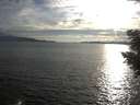 ./images/koeye/fitz-hugh/20200825/fitz-hugh20200825_185002.jpg