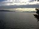 ./images/koeye/fitz-hugh/20200825/fitz-hugh20200825_192502.jpg