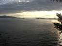 ./images/koeye/fitz-hugh/20200825/fitz-hugh20200825_194002.jpg