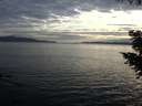 ./images/koeye/fitz-hugh/20200825/fitz-hugh20200825_195502.jpg