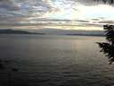./images/koeye/fitz-hugh/20200825/fitz-hugh20200825_200501.jpg