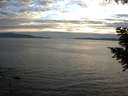 ./images/koeye/fitz-hugh/20200825/fitz-hugh20200825_201001.jpg