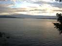 ./images/koeye/fitz-hugh/20200825/fitz-hugh20200825_202001.jpg