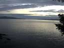 ./images/koeye/fitz-hugh/20200825/fitz-hugh20200825_204001.jpg