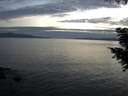 ./images/koeye/fitz-hugh/20200825/fitz-hugh20200825_204501.jpg