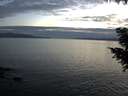 ./images/koeye/fitz-hugh/20200825/fitz-hugh20200825_205001.jpg