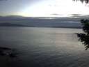 ./images/koeye/fitz-hugh/20200825/fitz-hugh20200825_211001.jpg