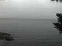 ./images/koeye/fitz-hugh/20200826/fitz-hugh20200826_055501.jpg