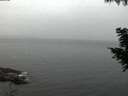 ./images/koeye/fitz-hugh/20200826/fitz-hugh20200826_060002.jpg