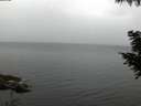 ./images/koeye/fitz-hugh/20200826/fitz-hugh20200826_061501.jpg